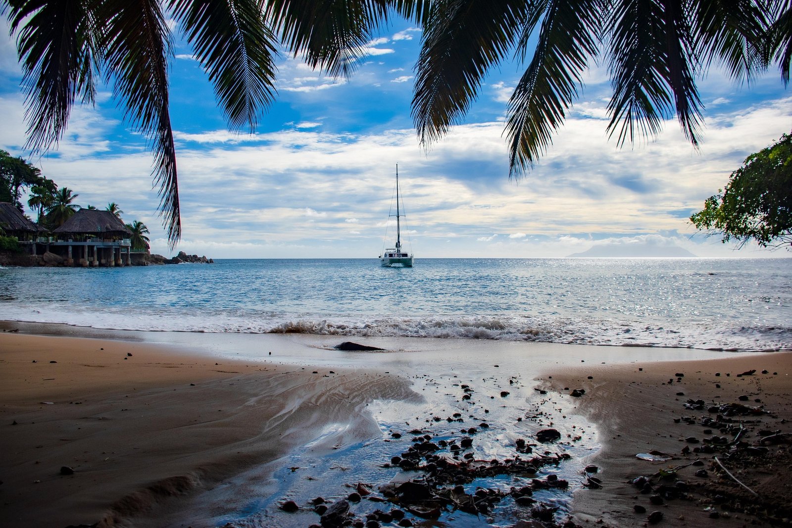 Why Catamaran Boat Tours Are the Perfect Choice for Relaxing Coastal Experiences
